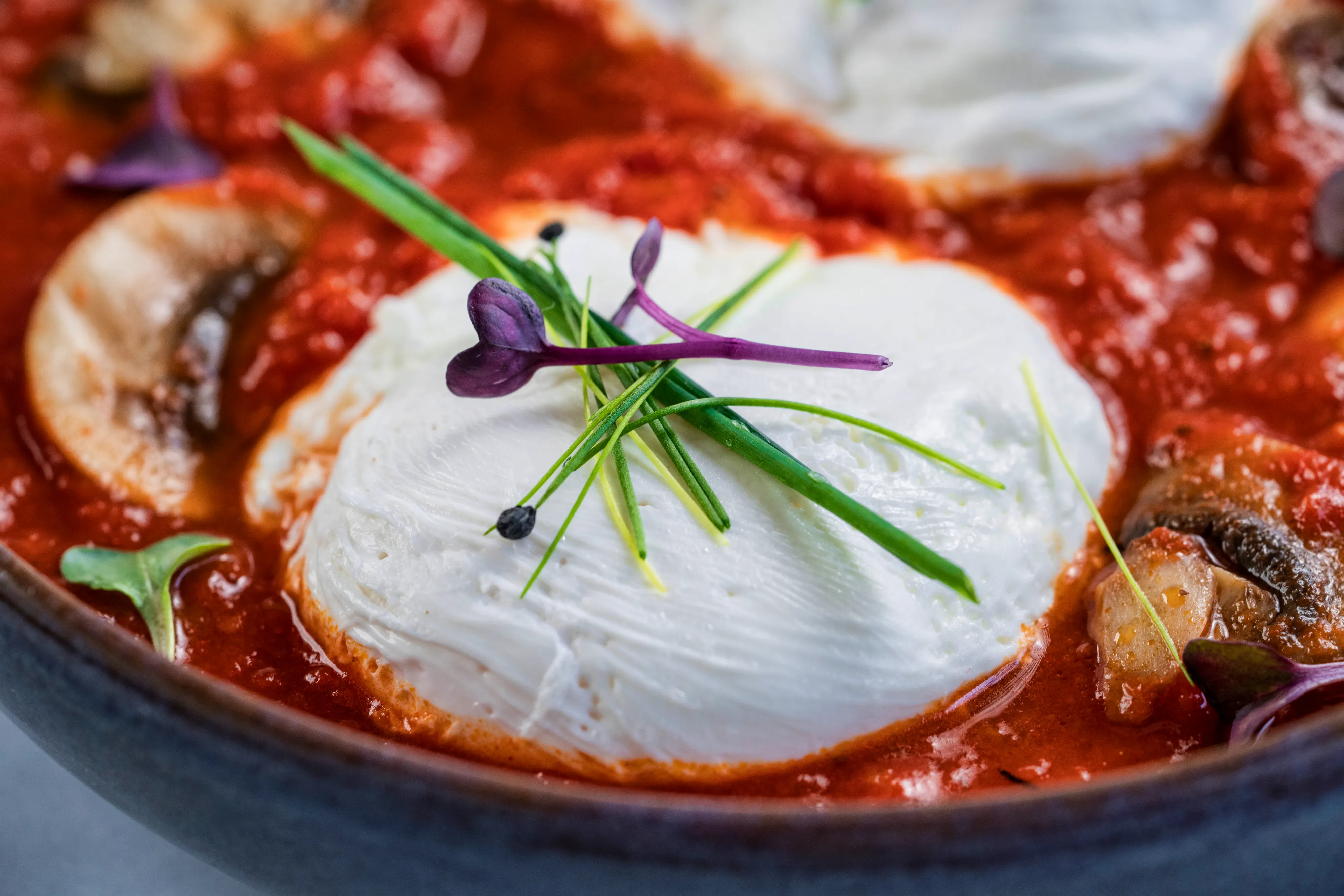 Spiced Tomato Shakshuka Poached Eggs